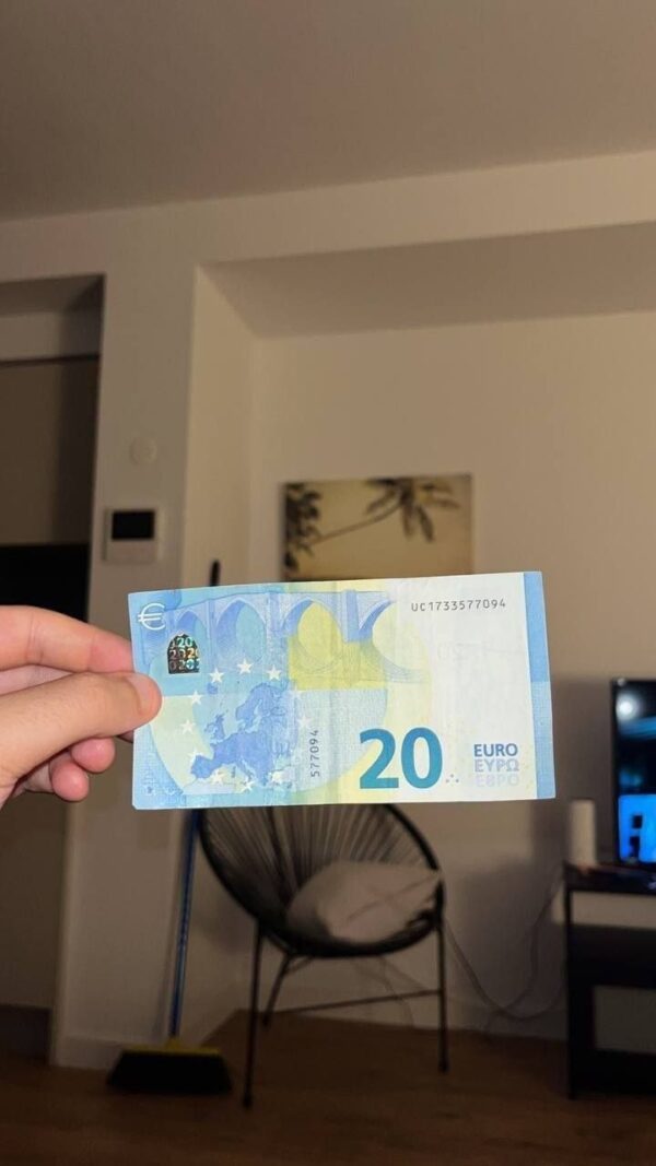 a hand holding a 20 euro banknote